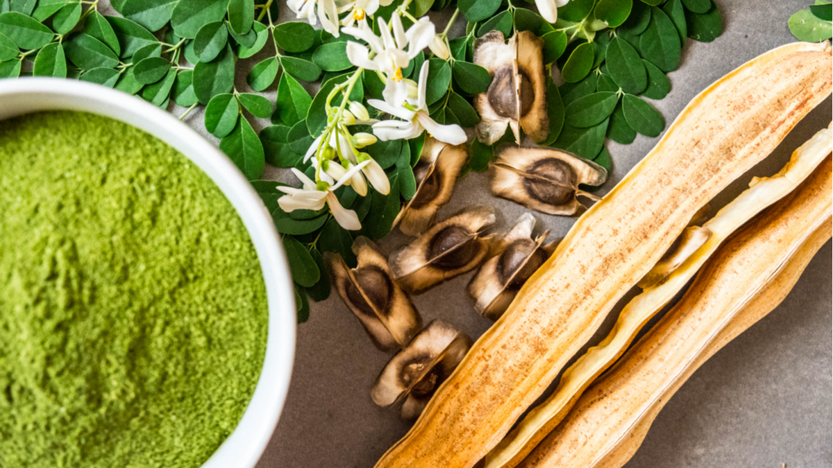 Moringa ve 5 faydası