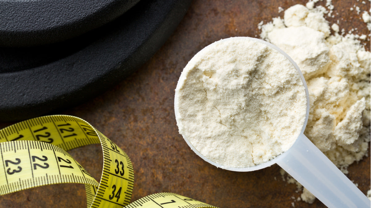 Protein tozu nedir, ne işe yarar?