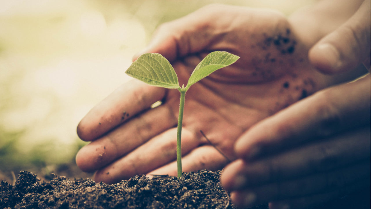 Sürdürülebilir Beslenme Nedir?