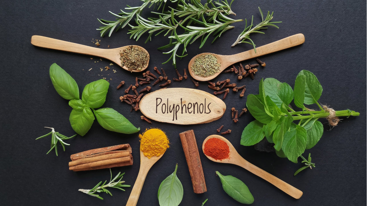 “Polifenoller” Nedir?