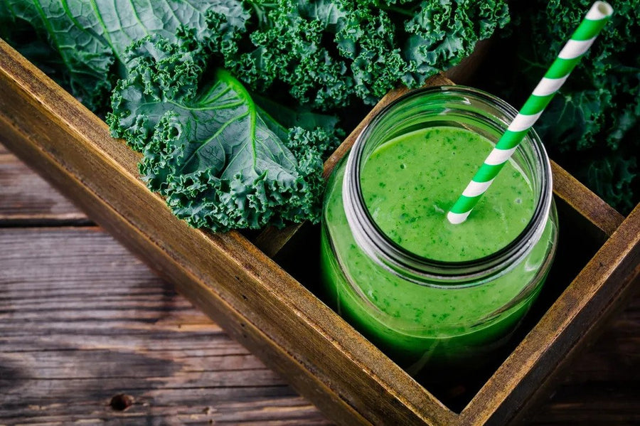 Meal replacement nedir?