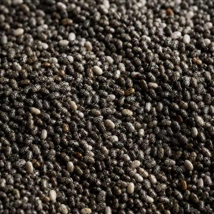 chia tohumu