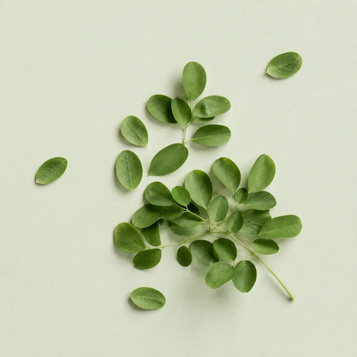 moringa